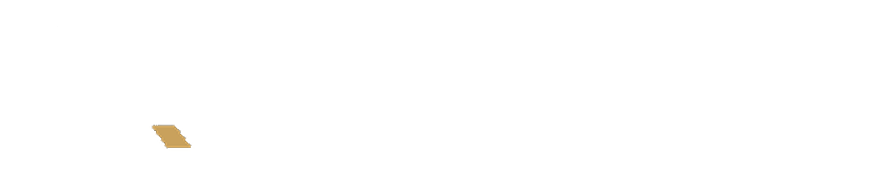 DR Capital